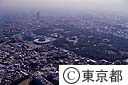 砧公園と清掃工場