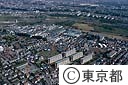 多摩川秋川市屋城地区