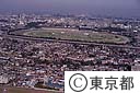 東京競馬場