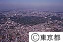 多磨霊園
