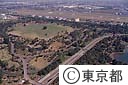 昭和記念公園みんなの原っぱ