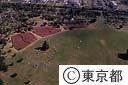 昭和記念公園原っぱであそぶ人達