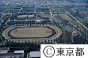 秋留台公園内運動広場