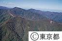 雲取山に向かう山道