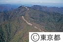 雲取山に至る山道