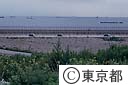 中防処分場と海
