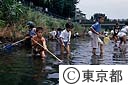 野川で生活科の実習