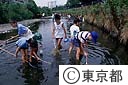 野川の生活科授業