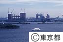開発中の青海地区