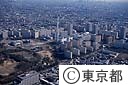 光が丘団地