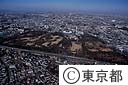 砧公園