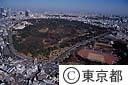 代々木公園