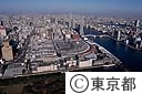 中央卸売市場