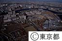 白鬚西地区防災拠点