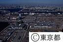 国際展示場
