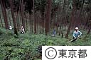 水源林の草刈