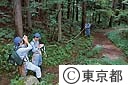 木の高さを調査