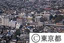 成城地域の住宅地