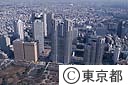 都庁舎
