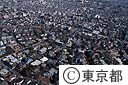 田園調布の住宅街