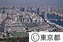 中央卸売市場