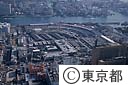 中央卸売市場
