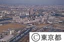 白鬚西再開発地域