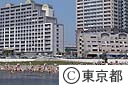 台場海岸で遊ぶ人達