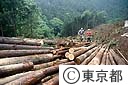 奥多摩の林業