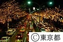 表参道の電飾ツリー