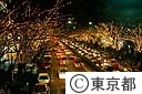 表参道の電飾ツリー