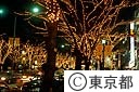 表参道の電飾ツリー