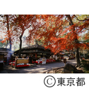 深大寺裏の紅葉