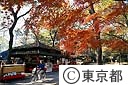 深大寺裏の紅葉