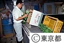 小松菜の出荷