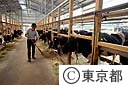 酪農