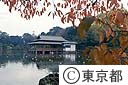 清澄庭園