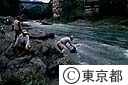 山女魚の放流（多摩川）