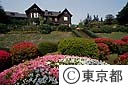 旧古河庭園のつつじ
