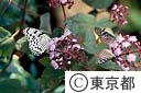 足立区生物園