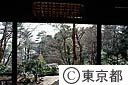 殿ヶ谷戸庭園