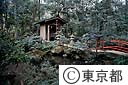 真姿の池