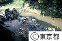 秋川で遊ぶ子供達