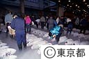 築地中央卸売市場のマグロ