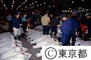 築地中央卸売市場のマグロ