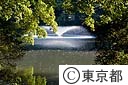 井の頭公園
