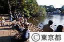 井の頭公園