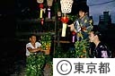 ほおずき市