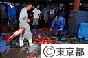 市場でのキンメダイの選別
