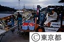 早朝下田港に水あげされるキンメダイ